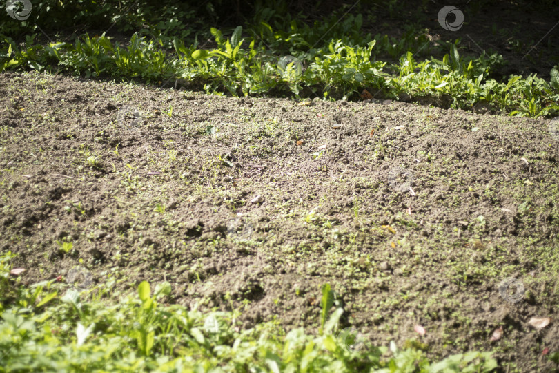 Скачать Вскопанный грунт в саду. Огород в деревне. Почва для посадки. фотосток Ozero