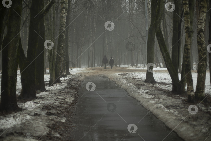 Скачать Дорога в парке зимой. Туман зимой. Мокрая дорога. фотосток Ozero