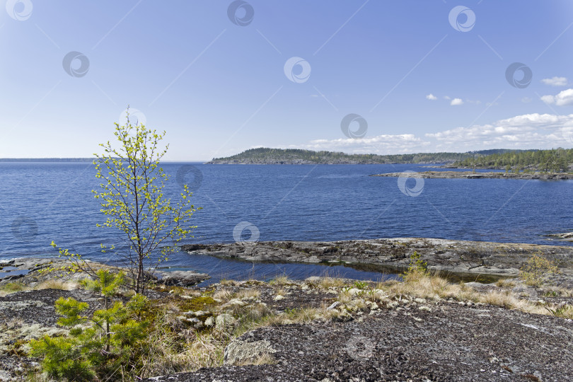 Скачать Каменистый берег Ладожского озера фотосток Ozero