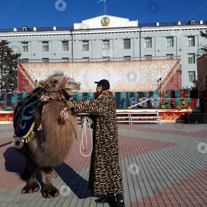 Скачать Репетиция  к празднику Наурыз фотосток Ozero