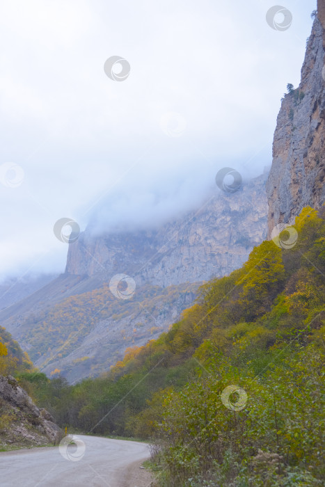 Скачать Живописная горная извилистая дорога. Покрытые желто-зелеными лесами холмы на заднем плане покрыты туманом. фотосток Ozero