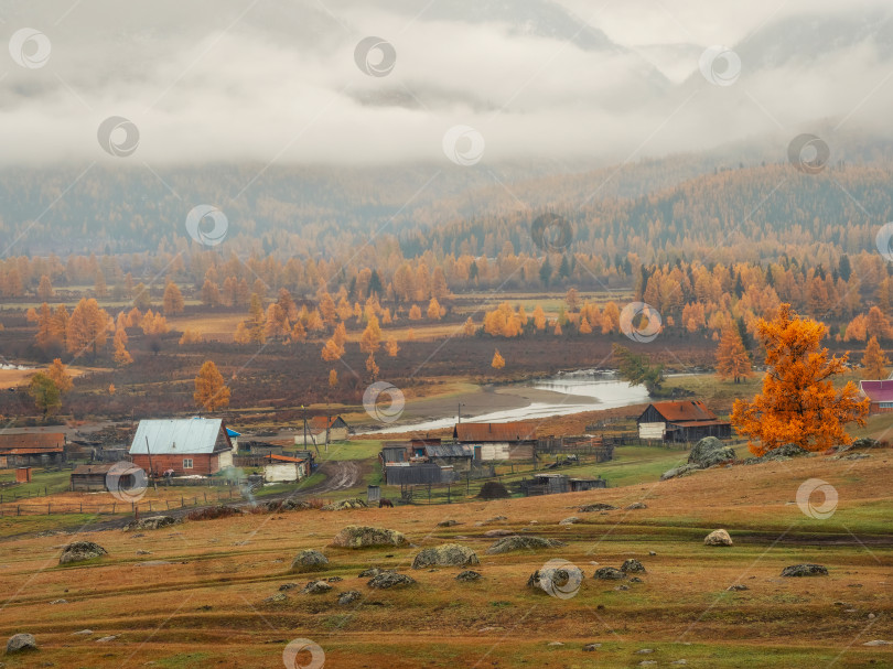 Скачать Грунтовая дорога, река, деревня и далекие горы в тумане. Маленькая деревня под горой. Золотой осенний пейзаж снежного туманного утра в деревне Беляши, Россия фотосток Ozero