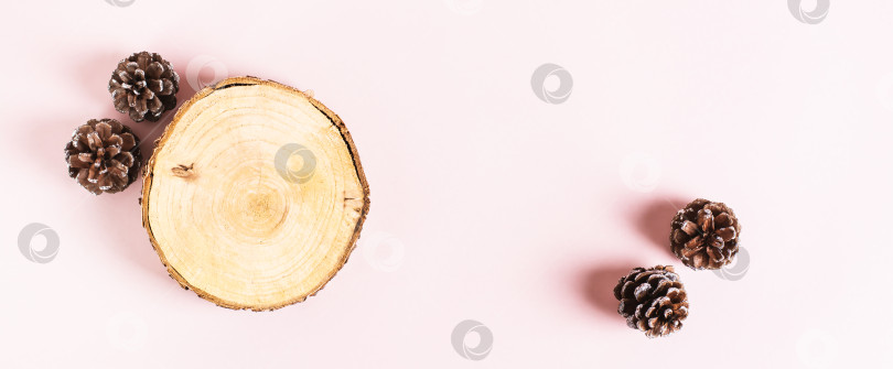 Скачать Срез ствола дерева и сосновые шишки на розовом фоне вид сверху веб-баннер фотосток Ozero
