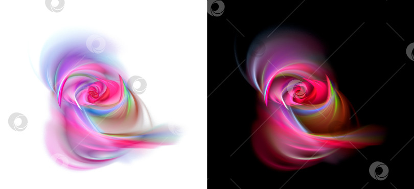 Скачать Красивые розы с размытием на белом и черном фонах. Стилизация акварельного рисунка. Набор из двух абстрактных фрактальных фонов с розами. 3d рендеринг. 3d иллюстрация. Элемент графического дизайна фотосток Ozero