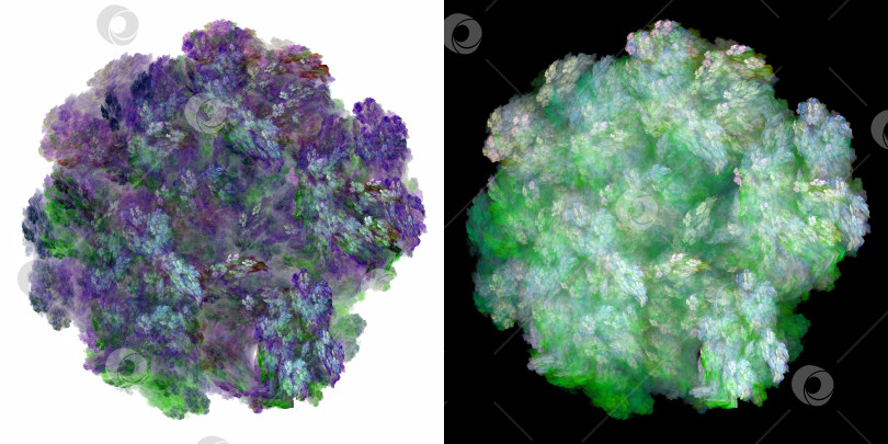 Скачать Набор из двух абстрактных фрактальных облаков сиреневого и зеленого оттенков на черном и белом фонах. 3d рендеринг. 3d иллюстрация. фотосток Ozero