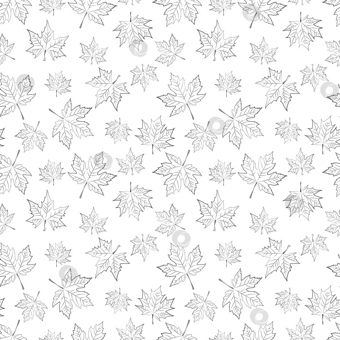 Скачать Набор бесшовных узоров из кленовых листьев, 1000х1000, векторная графика. фотосток Ozero
