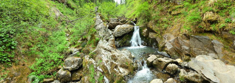 Скачать Панорамный снимок каскада водопадов и небольшой каменной заводи в русле небольшой речки, текущей с гор через густой лес солнечным летним днем. фотосток Ozero
