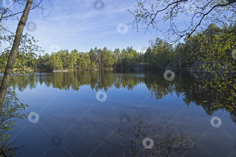 Скачать Небольшое лесное озеро в Карелии, Россия. фотосток Ozero