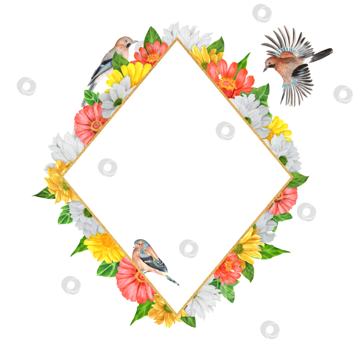 Скачать Нарисованная вручную акварельная композиция. Ромбовидная рамка с цветами хризантемы и циннии и птицами фотосток Ozero