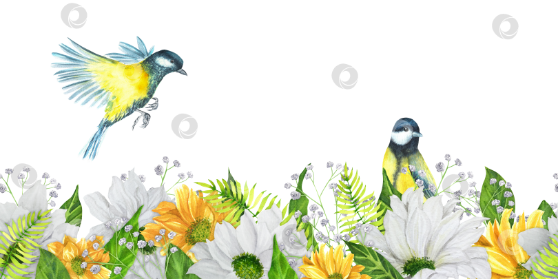 Скачать Нарисованная вручную акварелью бесшовная кайма с садовыми цветами: хризантемой, гипсофилой и папоротником с синичками фотосток Ozero