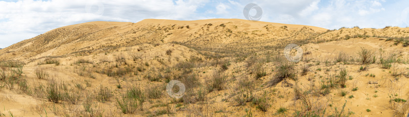 Скачать Бархан Сыруккум. Панорамный снимок фотосток Ozero