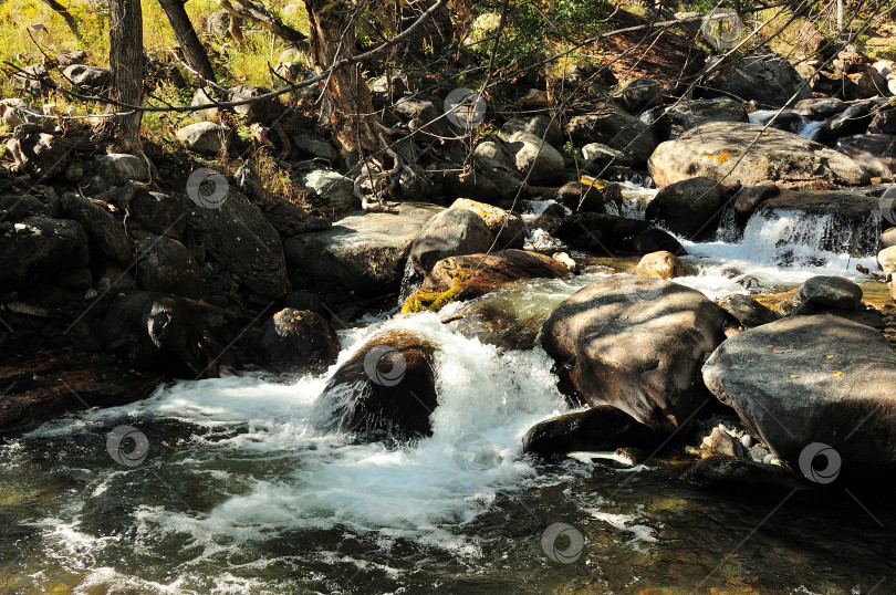 Скачать Бурный поток неглубокого ручья, стекающего с гор по течению осеннего леса, огибая на своем пути большие камни. фотосток Ozero