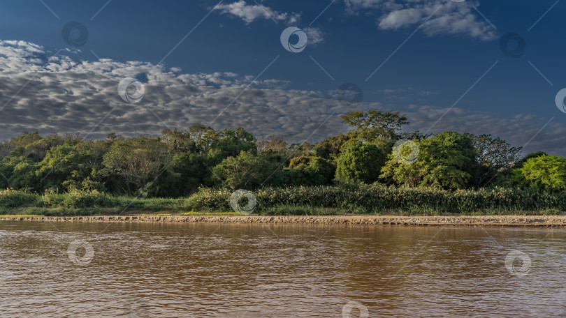 Скачать Пышная зеленая растительность произрастает на берегах красно-коричневой реки фотосток Ozero