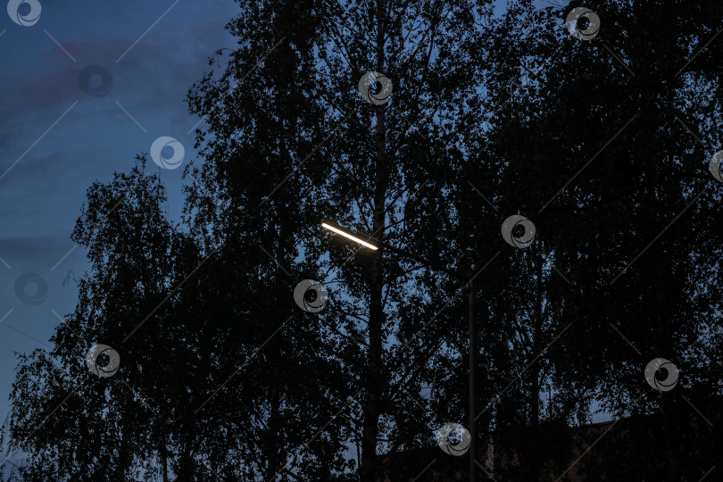 Скачать Белый фонарь среди теней деревьев фотосток Ozero