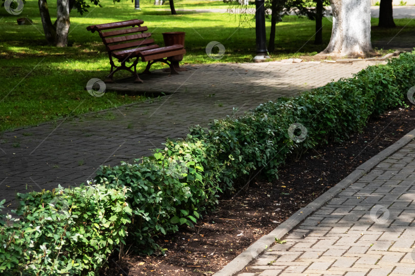 Скачать Скамейка и зеленые кусты в парке крупным планом фотосток Ozero