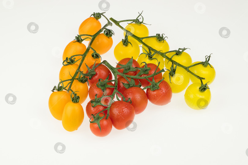 Скачать помидоры на белом фоне фотосток Ozero