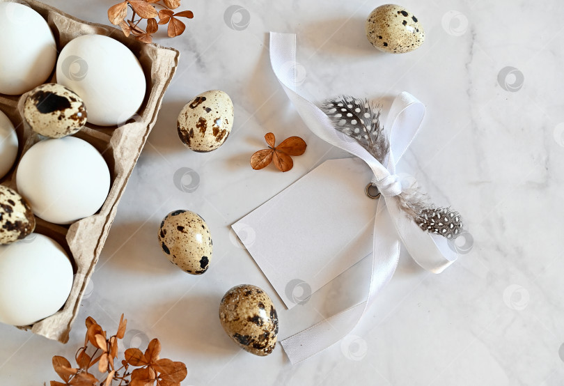 Скачать Композиция с пасхальными яйцами и ветками на белом фоне.Открытка. фотосток Ozero