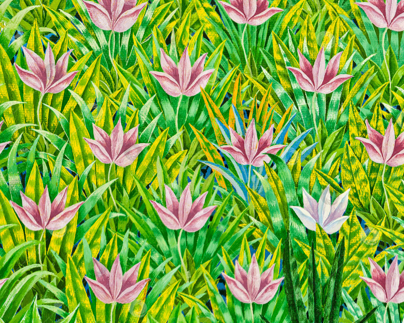 Скачать Иллюстрированная картина, изображающая зеленое травяное поле, усеянное розовыми цветами фотосток Ozero