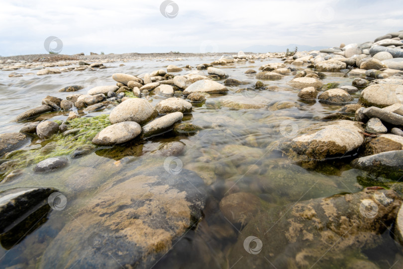 Скачать Крупный план красивых больших и маленьких мокрых камней в озере в сельской местности фотосток Ozero