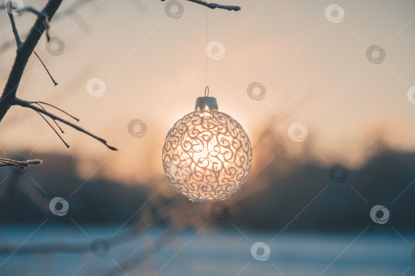 Скачать Рождественский бал на елке на открытом воздухе, креативное фото, новый год, Рождество фотосток Ozero