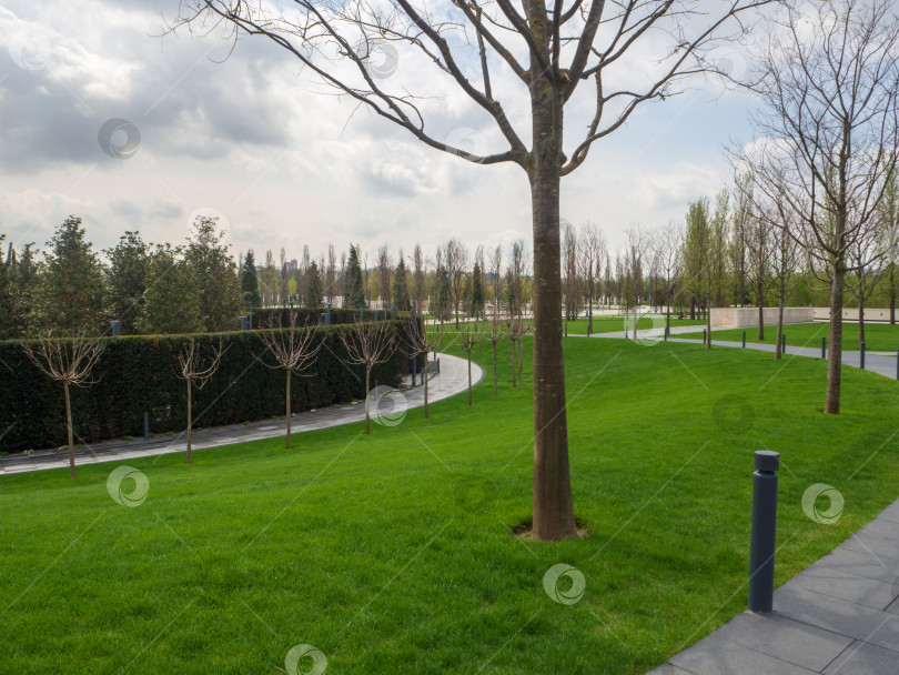 Скачать Общественный парк ранней весной. Газон и пешеходные дорожки в парке Галицкого в Краснодаре фотосток Ozero
