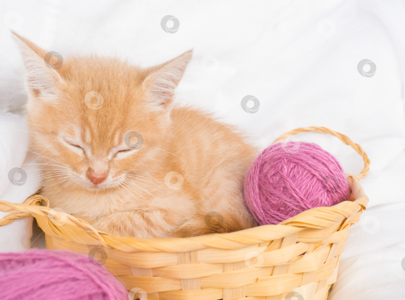 Скачать Рыжий котенок спит в соломенной корзинке с розовыми шариками, мотками ниток на белой кровати. фотосток Ozero