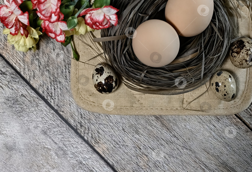 Скачать Композиция с пасхальными яйцами и ветками на желтом фоне.Открытка. фотосток Ozero