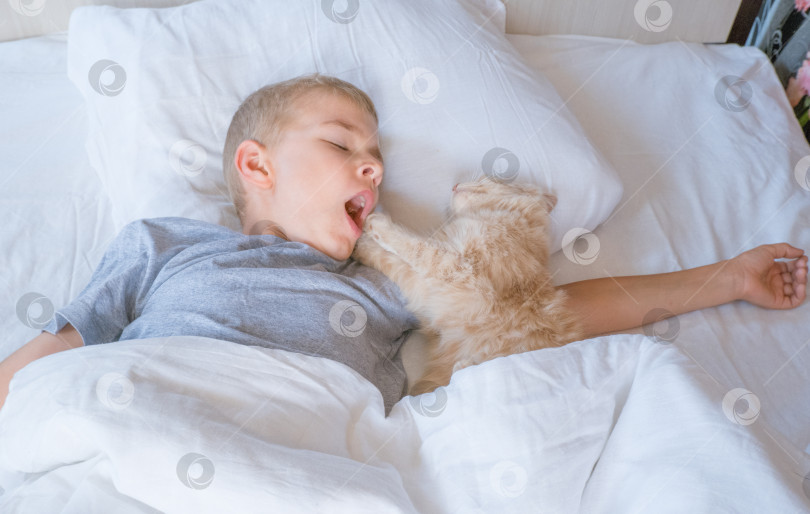 Скачать мальчик засыпает и обнимает своего рыжего кота, который спит с ним под одеялом. дети и домашние животные. кот спит с ребенком. ребенок готовится ко сну. фотосток Ozero