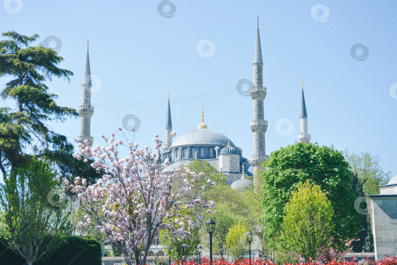 Скачать Голубая мечеть, Султанахмет Камий, Босфор и горизонт азиатской стороны, Стамбул, Турция фотосток Ozero