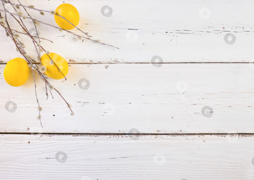 Скачать Вид сверху на пасхальные яйца и ивовые прутья на белой деревянной доске в деревенском стиле. Место для текста. фотосток Ozero
