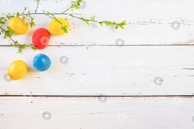 Скачать Разноцветные пасхальные яйца с весенними цветами, выделенными на белом фоне. Праздничная рамка из цветных яиц. фотосток Ozero
