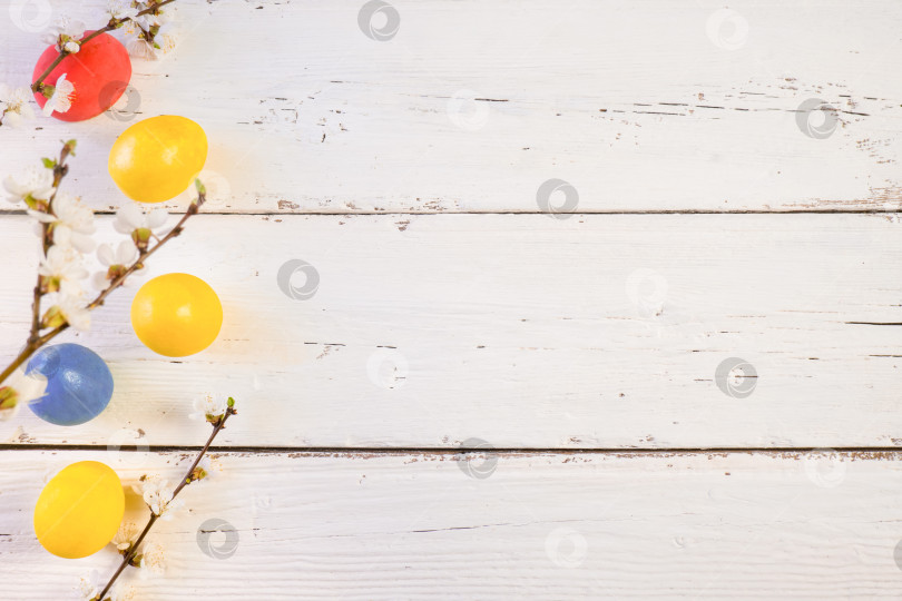 Скачать Разноцветные пасхальные яйца с весенними цветами и зелеными листьями на белом деревянном фоне. Пробел для текста. фотосток Ozero