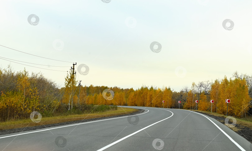 Скачать дорога в осенний лес, осенние листья крупным планом фотосток Ozero