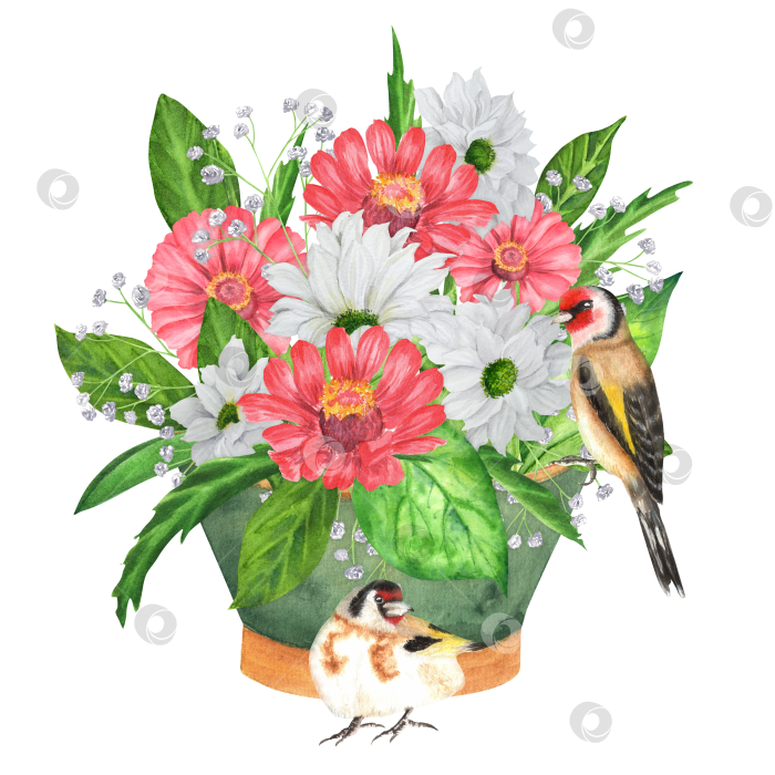 Скачать Нарисованный вручную акварелью садовый горшок с цветами и птицами фотосток Ozero