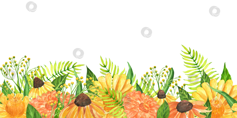 Скачать Нарисованная вручную акварелью бесшовная кайма с садовыми цветами: циннией, конскими цветами, золотарником и папоротником фотосток Ozero