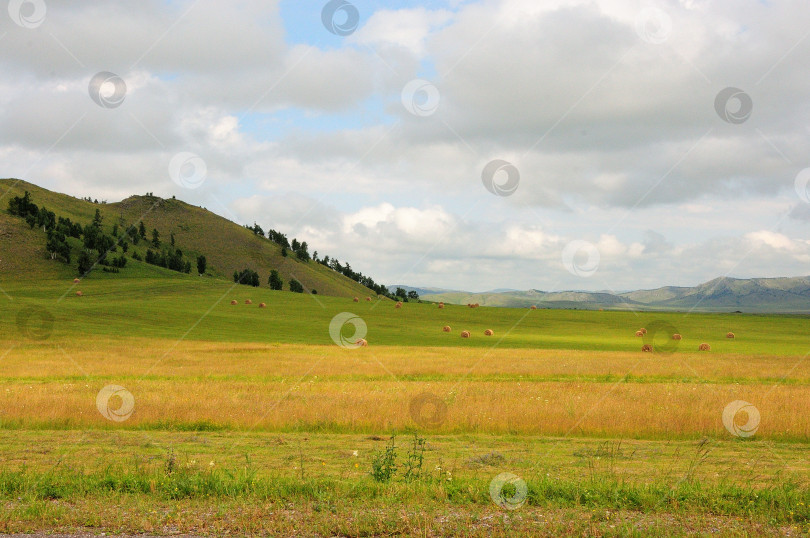 Скачать Пологий склон высокого холма с рядами сосен спускается в широкую плоскую долину. фотосток Ozero