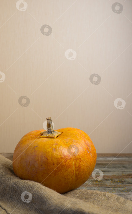 Скачать Осенняя оранжевая тыква на деревянном столе фотосток Ozero