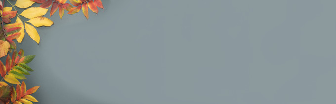 [object Object] undefined