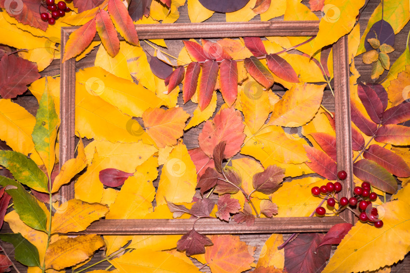 Скачать Композиция из осенних листьев в рамке для картины. Скопируйте пространство. фотосток Ozero