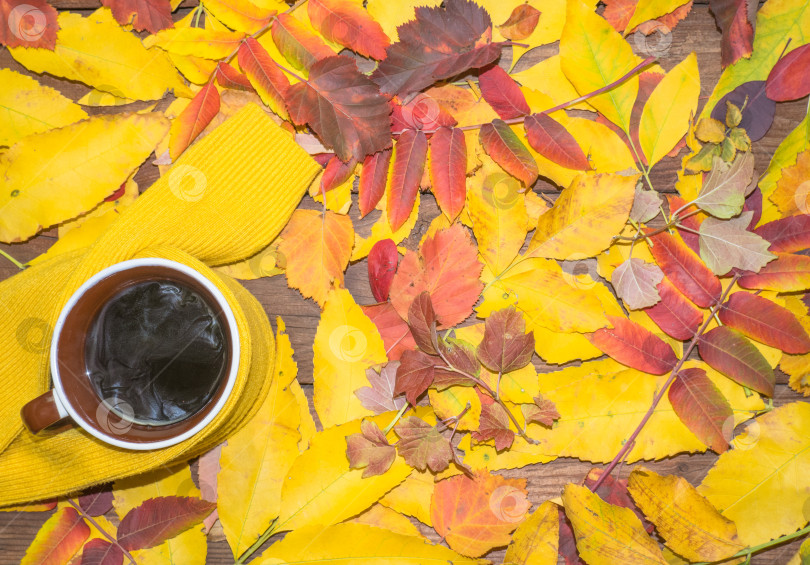 Скачать Осень, опадающие листья, чашка горячего дымящегося кофе и теплый шарф на фоне ярких листьев. Сезонность, утренний кофе, воскресный отдых и концепция натюрморта. фотосток Ozero
