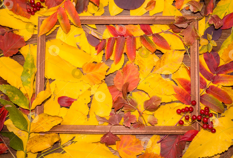 Скачать Композиция из осенних листьев в рамке для картины. Скопируйте пространство. фотосток Ozero