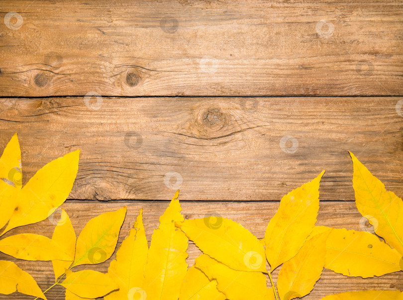 Скачать вид сверху на осенние листья на деревянном текстурированном фоне по горизонтали. Место для текста в центре фотосток Ozero