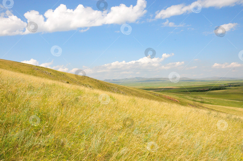 Скачать Пологий склон высокого холма, поросший травой, в живописной летней степи. фотосток Ozero