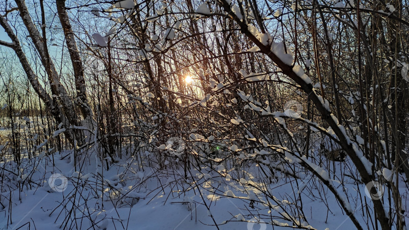 Скачать закат фотосток Ozero