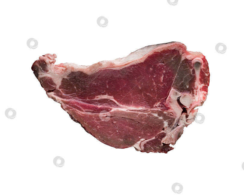 Скачать кусок свежего сырого мяса на белом фоне фотосток Ozero