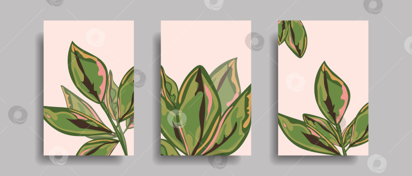 Скачать Настенные плакаты с ботаническими растениями. Абстрактные листья для дизайна салона, спа-салона. фотосток Ozero