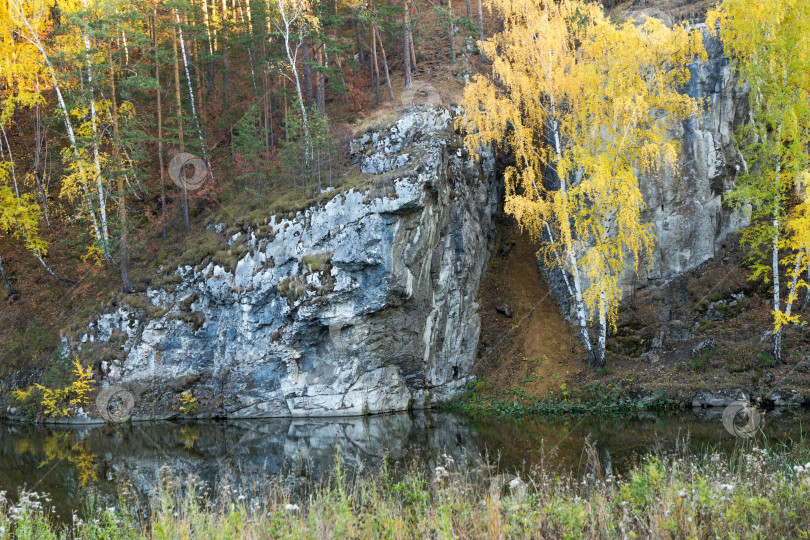 Скачать Осенний лес фотосток Ozero