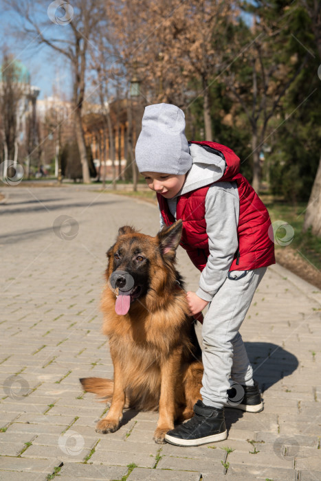 Скачать мальчик гуляет с домашним животным фотосток Ozero