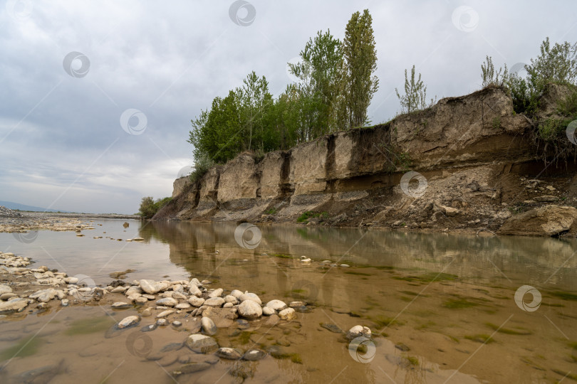 Скачать Мутная река с зеленой растительностью на берегу фотосток Ozero