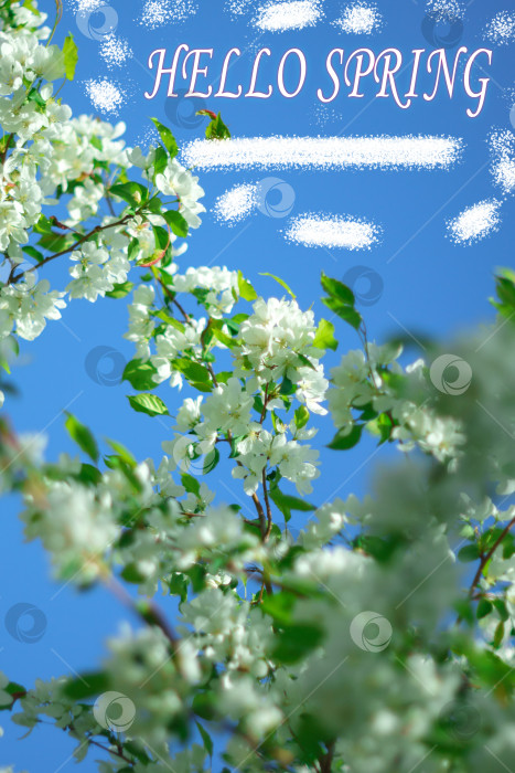 Скачать Здравствуй, весна, солнечный свет пробивается сквозь кроны деревьев. Цветущие яблони. Вертикальное фото фотосток Ozero